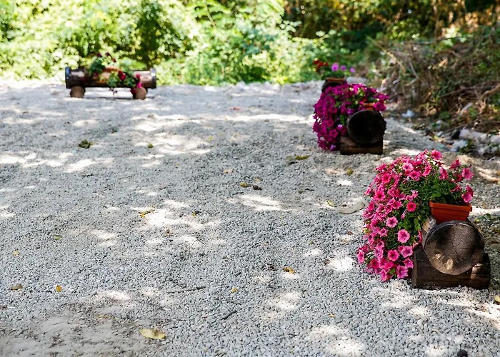 Drecheva Guest house